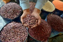 7 أنواع من البقوليات الغنية بالمغنيسيوم لتعزيز صحتك