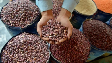 7 أنواع من البقوليات الغنية بالمغنيسيوم لتعزيز صحتك