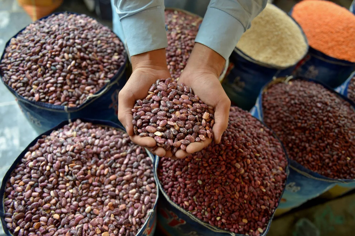 7 أنواع من البقوليات الغنية بالمغنيسيوم لتعزيز صحتك