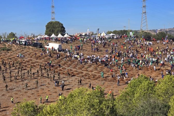 حملة كبرى لغرس 5 ملايين شجرة