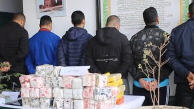 تلمسان : توقيف 6 أشخاص وحجز أزيد من قنطار من الكيف المعالج