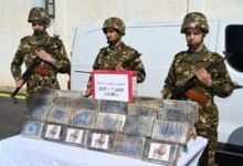 وزارة الدفاع: ضبط قرابة نصف قنطار من الكوكايين