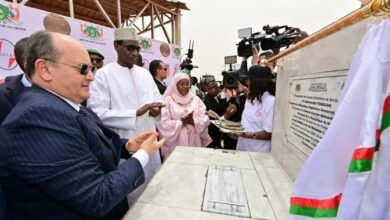 نيامي: الوزير الأول يضع حجر الأساس لمحطة توليد الكهرباء