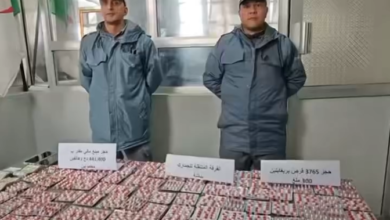 باتنة: حجز كمية من المهلوسات بحوزة امرأتين