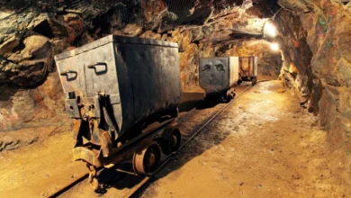 الجزائر تؤسس لنهضة منجمية حقيقية