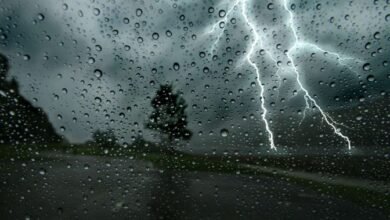 أمطار رعدية ورياح قوية على هذه الولايات