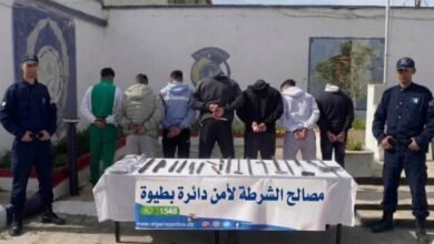 وهران: توقيف 7 أشخاص وحجز أسلحة بيضاء