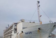 وصول شحنة جديدة من الأغنام المستوردة