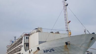 وصول شحنة جديدة من الأغنام المستوردة