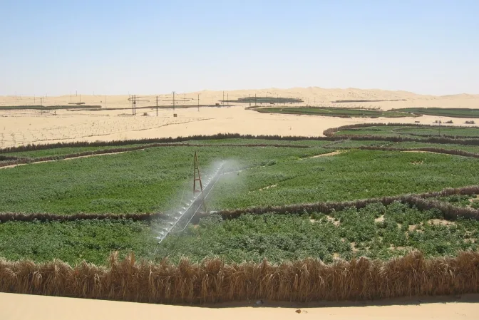 ربط أزيد من 100 ألف مستثمرة فلاحية بالشبكة الكهربائية