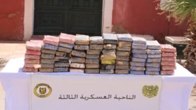 حجز كمية كبيرة من الكوكايين وتوقيف مهربين بأدرار