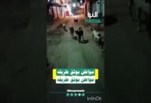 🎥شاهد بالفيديو ... مواطن يوثق طريقه لأداء صلاة الفجر 🙆 سبحان الله