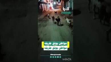 🎥شاهد بالفيديو ... مواطن يوثق طريقه لأداء صلاة الفجر 🙆 سبحان الله