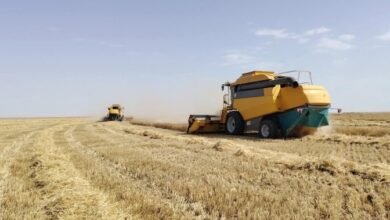 فلاحة: منصة رقمية لتسهيل طلب الحصادات ومرافقة الفلاحين