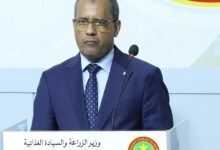 وزير الزراعة الموريتاني : نسبة ارتفاع إنتاج الخضروات بلغت %446