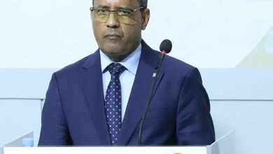 وزير الزراعة الموريتاني : نسبة ارتفاع إنتاج الخضروات بلغت ‎%‎446