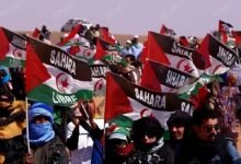 تواصل التحركات الدبلوماسية والحقوقية الصحراوية لكشف انتهاكات الاحتلال المغربي بالصحراء الغربية