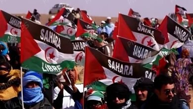 تواصل التحركات الدبلوماسية والحقوقية الصحراوية لكشف انتهاكات الاحتلال المغربي بالصحراء الغربية