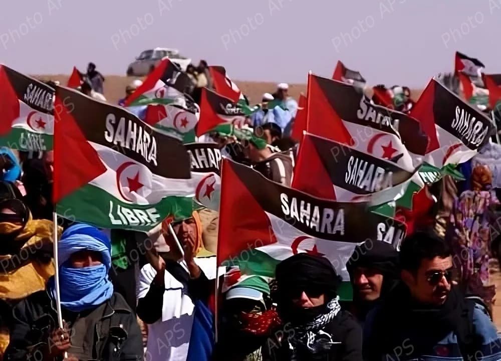 تواصل التحركات الدبلوماسية والحقوقية الصحراوية لكشف انتهاكات الاحتلال المغربي بالصحراء الغربية