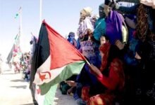 الأسرى المدنيون الصحراويون يصعدون نضالهم في مواجهة القمع والانتهاكات في سجون الاحتلال المغربي