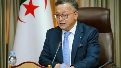 بداري: "تسجيل 6 أصناف جديدة من الحبوب في الفهرس الرسمي للأصناف"
