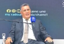 وزير الري: "الجزائر حققت استقرارا في الأمن المائي"