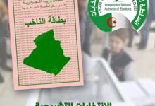شبلي: "الحملة الانتخابية شهدت تنظيم أكثر من 3900 تجمع شعبي"