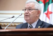 ناصري: احترام السيادة الوطنية مبدأً ثابت لا يقبل المساومة