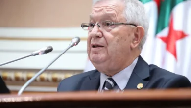 ناصري: احترام السيادة الوطنية مبدأً ثابت لا يقبل المساومة