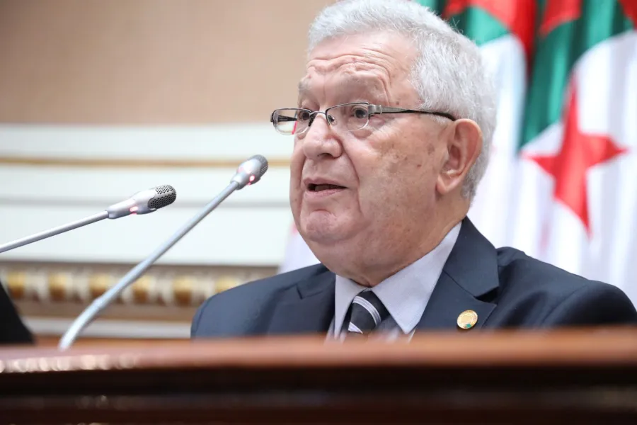 ناصري: احترام السيادة الوطنية مبدأً ثابت لا يقبل المساومة