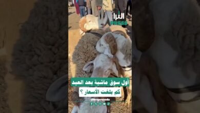 🎥شاهد بالفيديو ... أول سوق ماشية بعد عيد الأضحى ... كم بلغت الأسعار؟ 🐑💰
