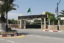 فتح دكتوراه استثنائية في تخصص “الانتقال الطاقوي” بـ8 جامعات