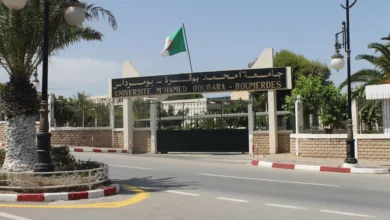 فتح دكتوراه استثنائية في تخصص “الانتقال الطاقوي” بـ8 جامعات
