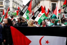 جمعية كنارية تجدد الدعوة لمواصلة دعم الشعب الصحراوي
