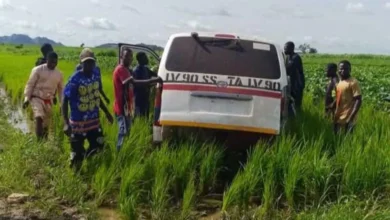 الجيش النيجيري يعلن إنقاذ 33 شخصًا بعد اختطافهم على يد مسلحين