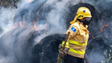 الرياح وظروف الطقس تعيقان مكافحة حرائق غابات متفاقمة في جنوب إسبانيا