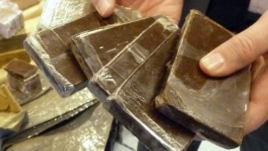 إحباط محاولة تهريب كمية كبيرة من المخدرات بسطيف