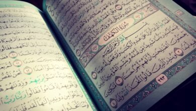 فضل قراءة سورة الكهف يوم الجمعة.. ماذا ورد في السنة؟